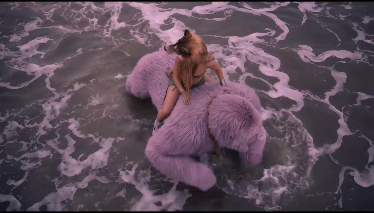 Sapphire Empire 🐺 tweet media