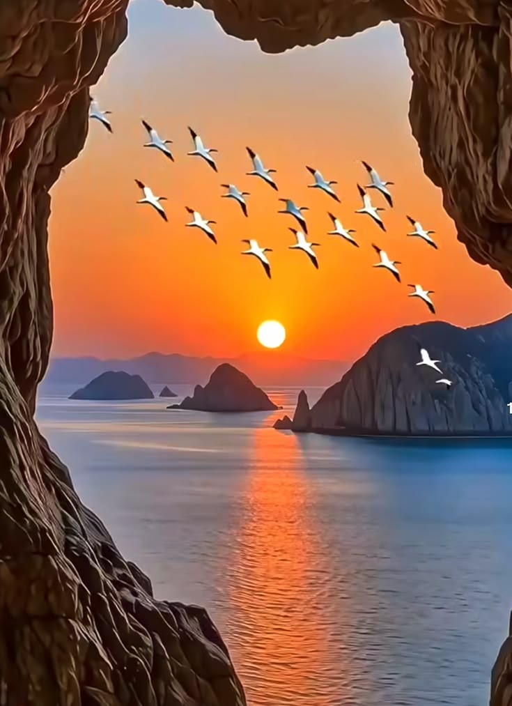 ALEXA 🍃💋🍃 tweet media