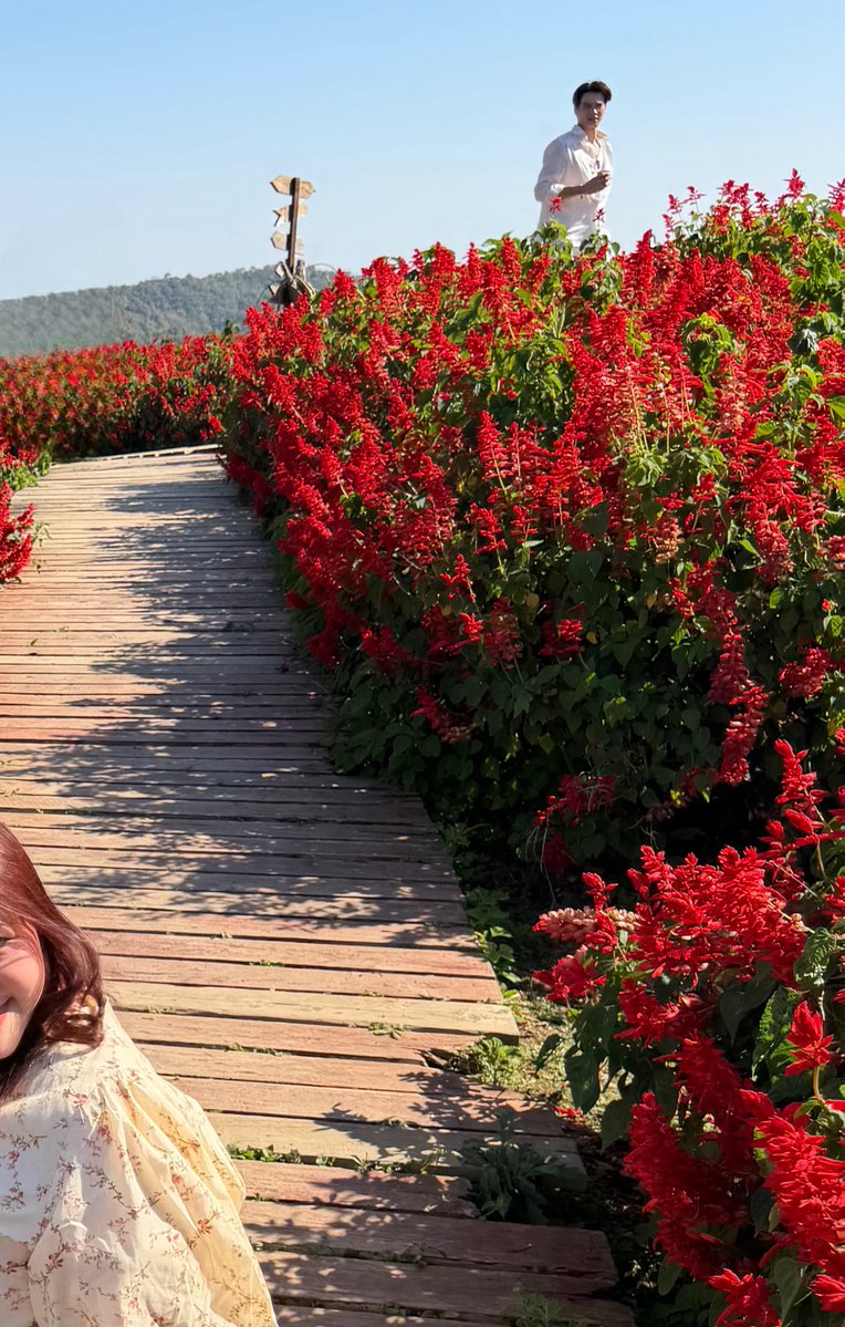 ~ Onlyoil 🦆🐰 tweet media