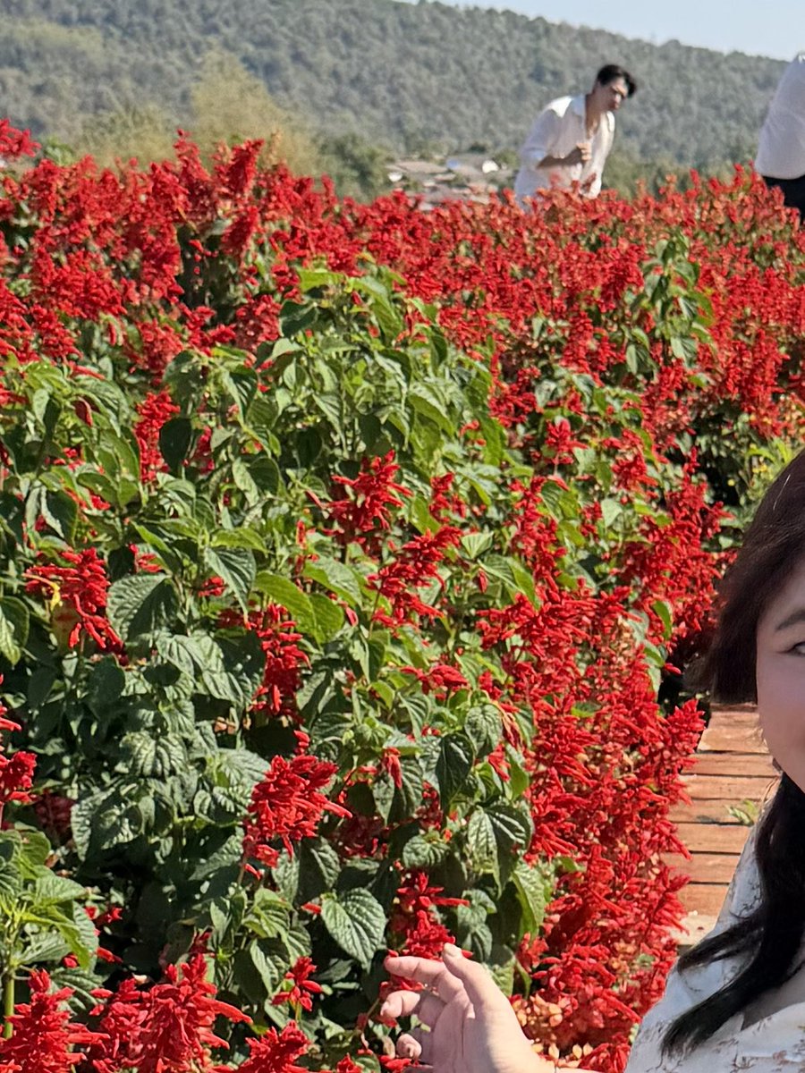 ~ Onlyoil 🦆🐰 tweet media