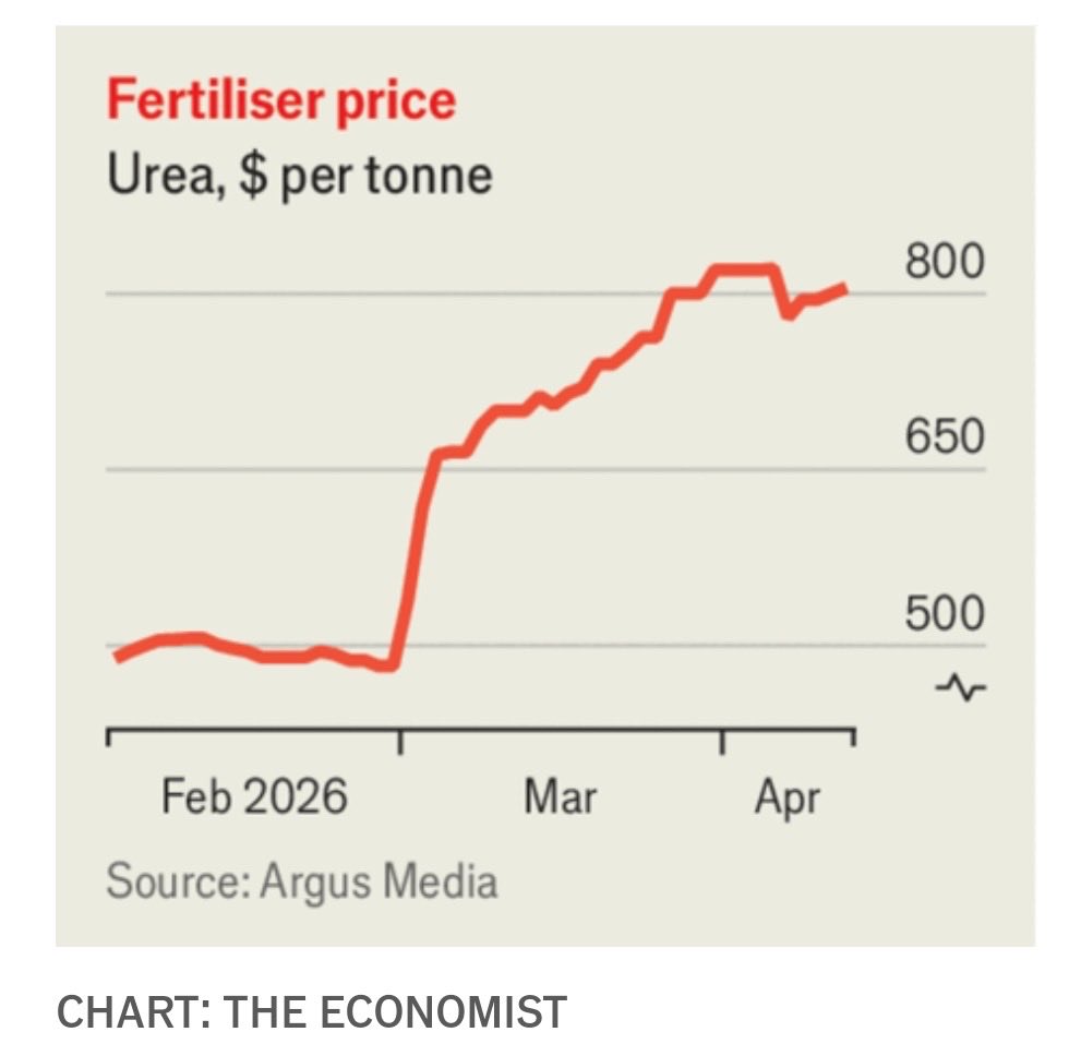 Quando a guerra na Ucrânia começou, o presidente Jair Bolsonaro agiu como estadista e garantiu o suprimento de fertilizantes para o agro brasileiro, o que possibilitou a supersafra do ano seguinte.

Agora, diante do início da guerra envolvendo o Irã, o que fez até agora o governo