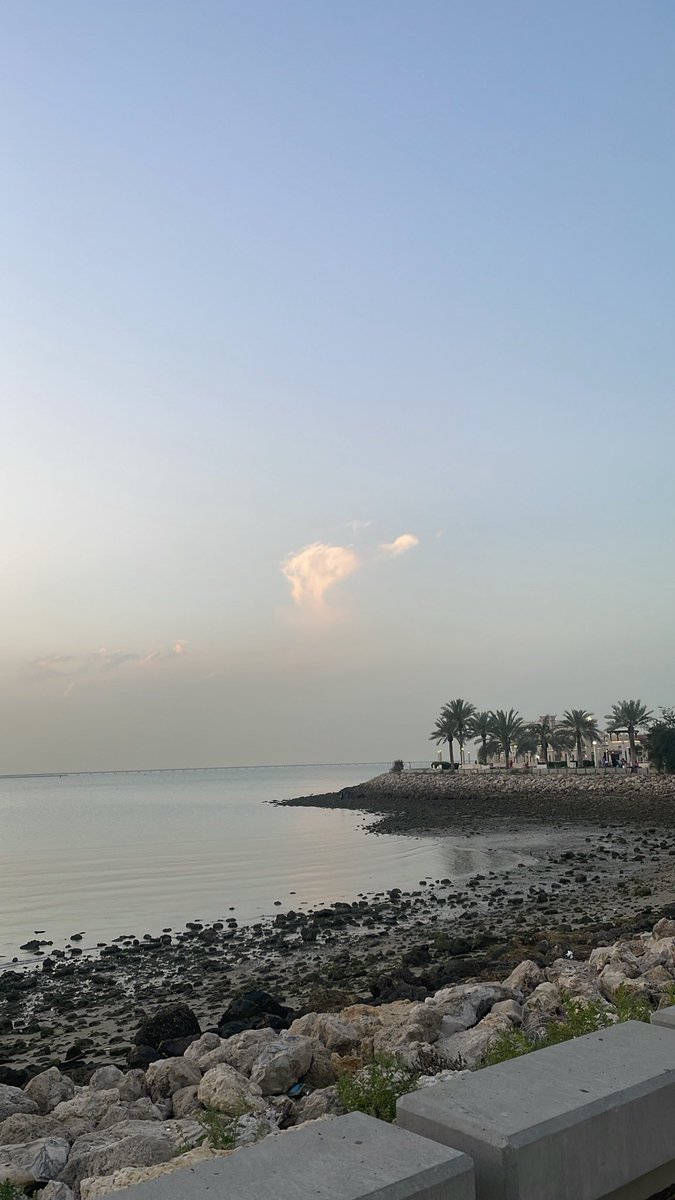 ꧁༺ ᷂هـــاء ༻꧂ tweet media