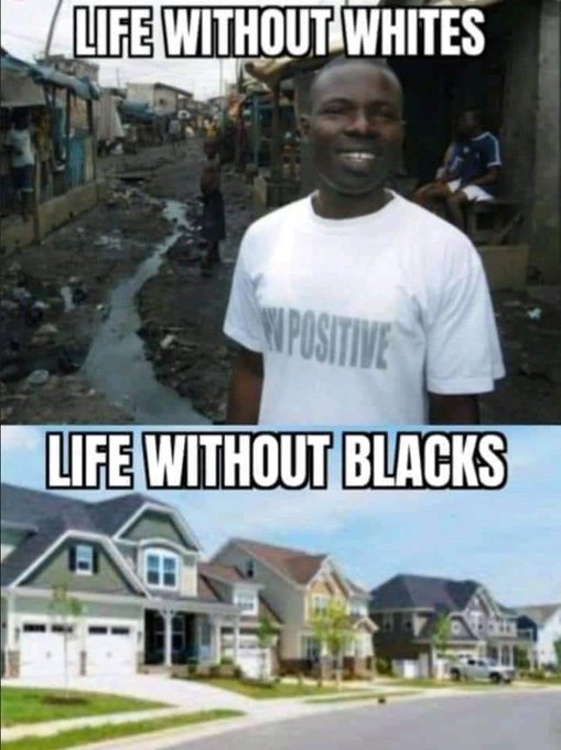 DavidLynch68033's tweet image. Another DUMB fucking Sub IQ knuckle dragger making Noise...Sit Down and shut the fuck up....
You Built FUCK ALL, Yet Destroy EVERYTHING that worked....
#IQ