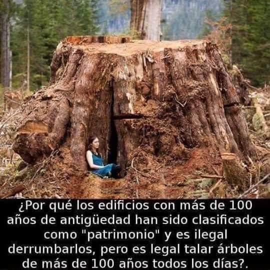 Rincón Curioso tweet media