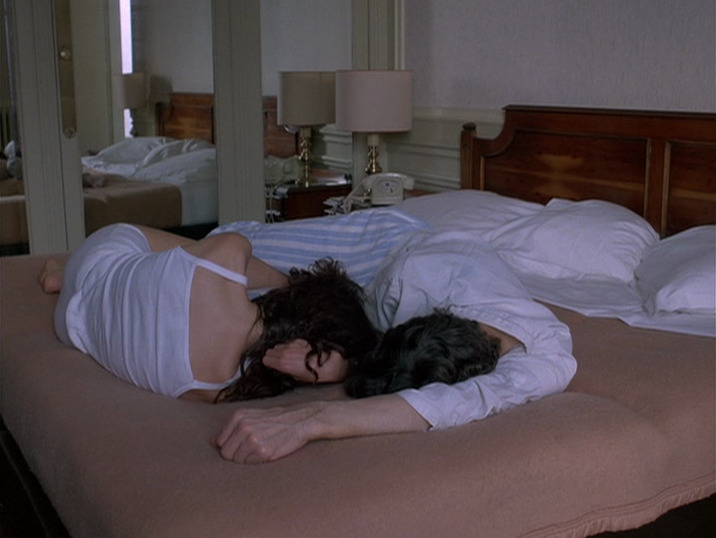 Alquimia tweet media