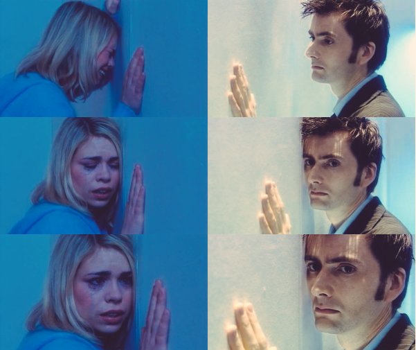 Bevy🪻🦋 tweet media