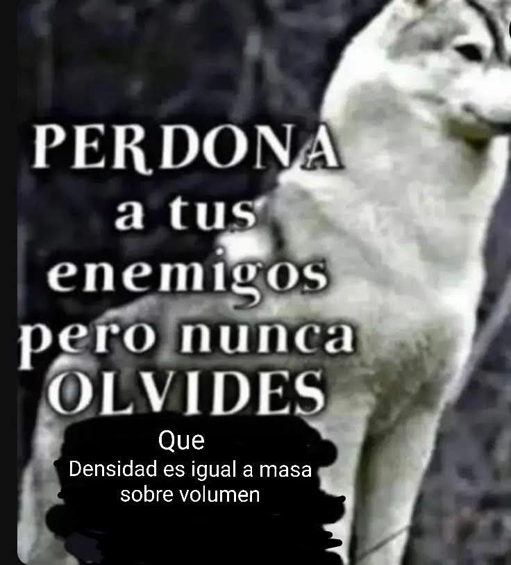 Shitpost Aleatorio tweet media