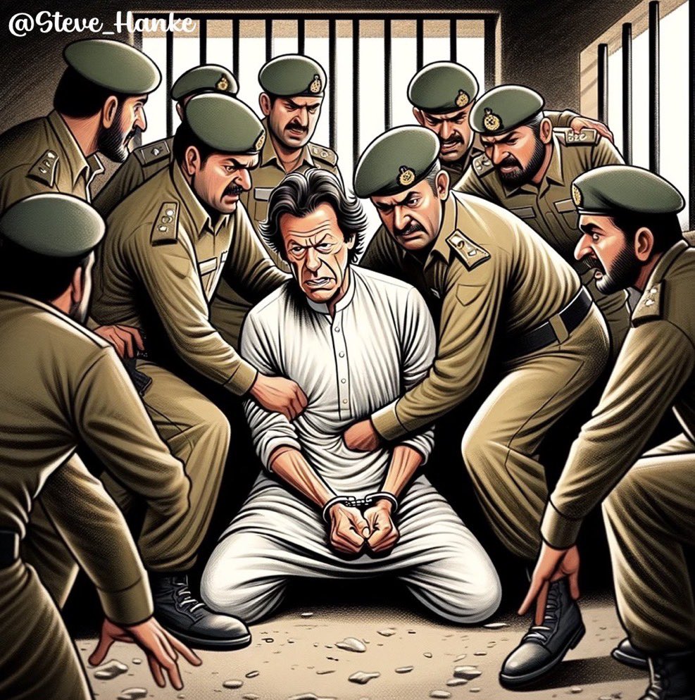 Steve Hanke tweet media