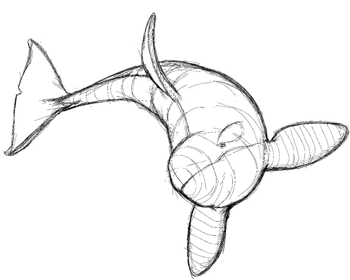 Mandrakepool's tweet image. Orca stuffs i did on sunday. #practices