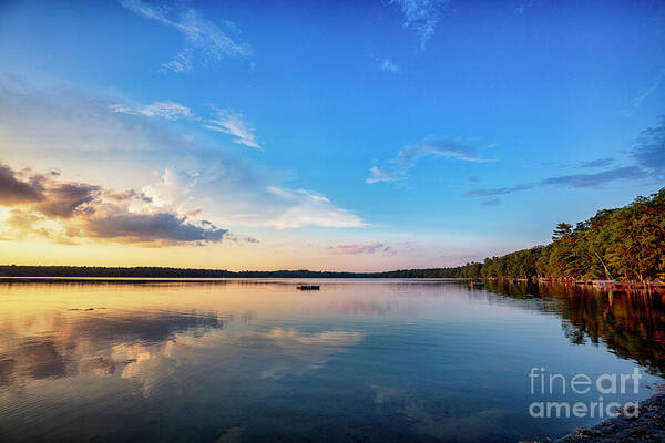 TLawren37609829's tweet image. Sometimes all you need to feel at #peace is to wander out into Nature and witness her #beauty fineartamerica.com/featured/glowi… #nature #buyintoart #peacefulArt #calming #inspiringNature