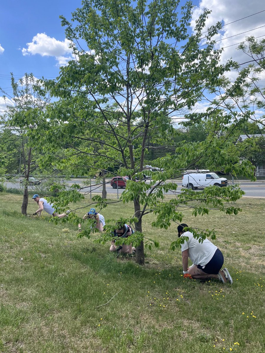 periosynergy's tweet image. Our team had a great time volunteering with Downtown Greens! 🌳

This amazing nonprofit focuses on environmental conservation and education for youth in Fredericksburg. The gardens are open to the public and absolutely beautiful. 💚 💜

#Volunteering