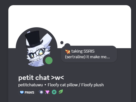 petit chat UwU tweet media