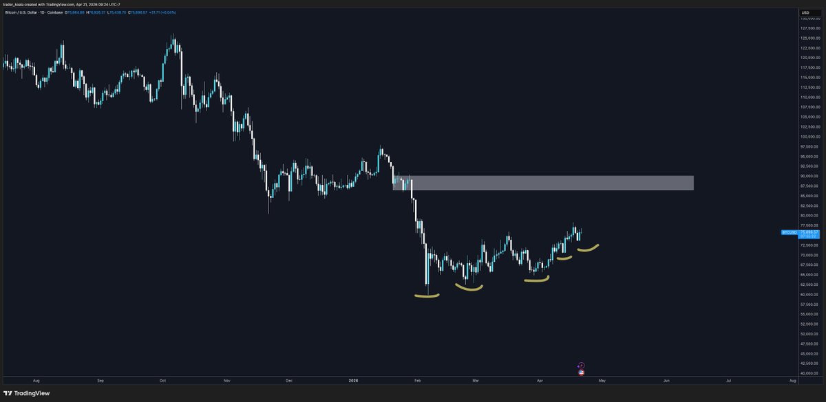 Trader Koala tweet media