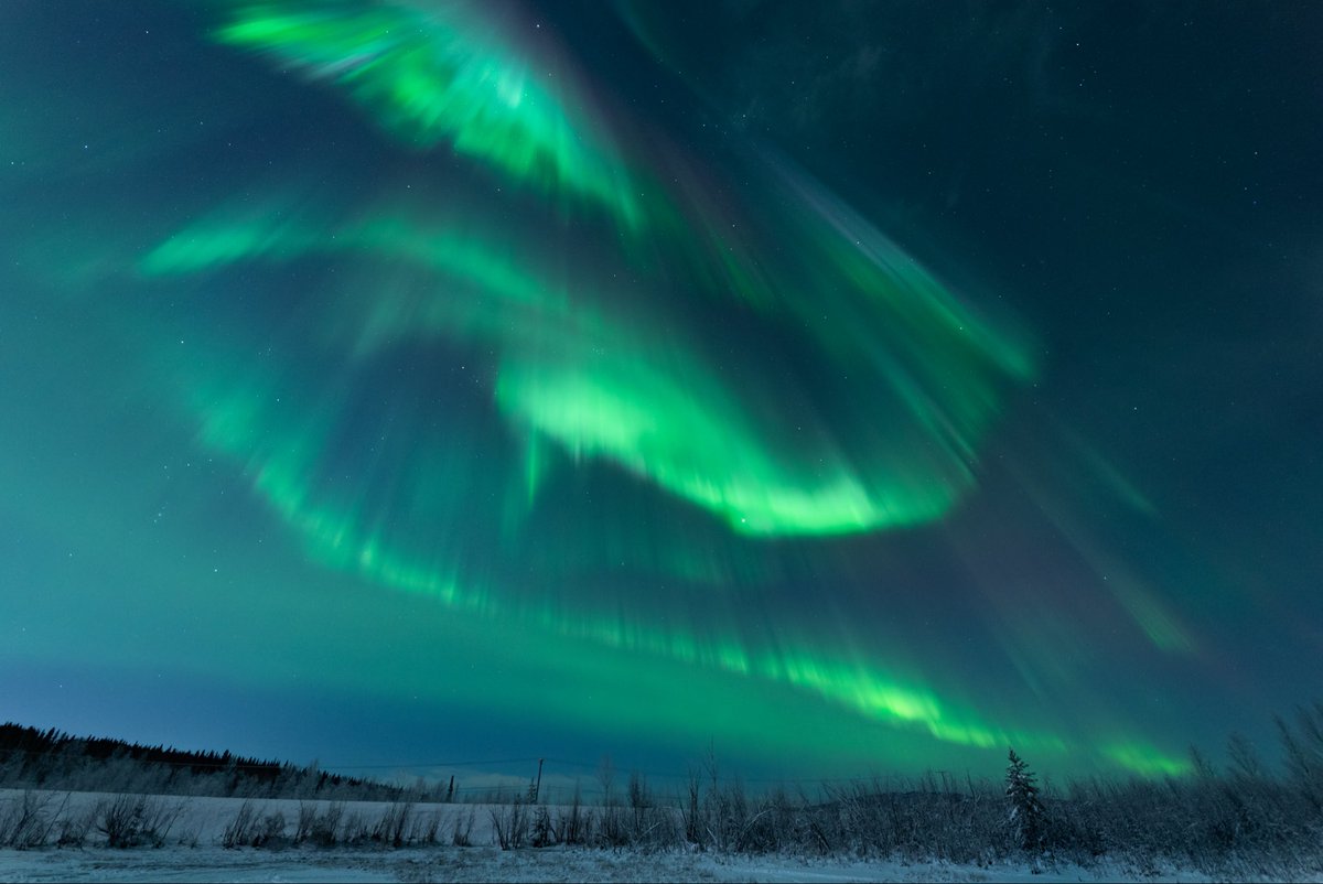 Eric Bleicher tweet media