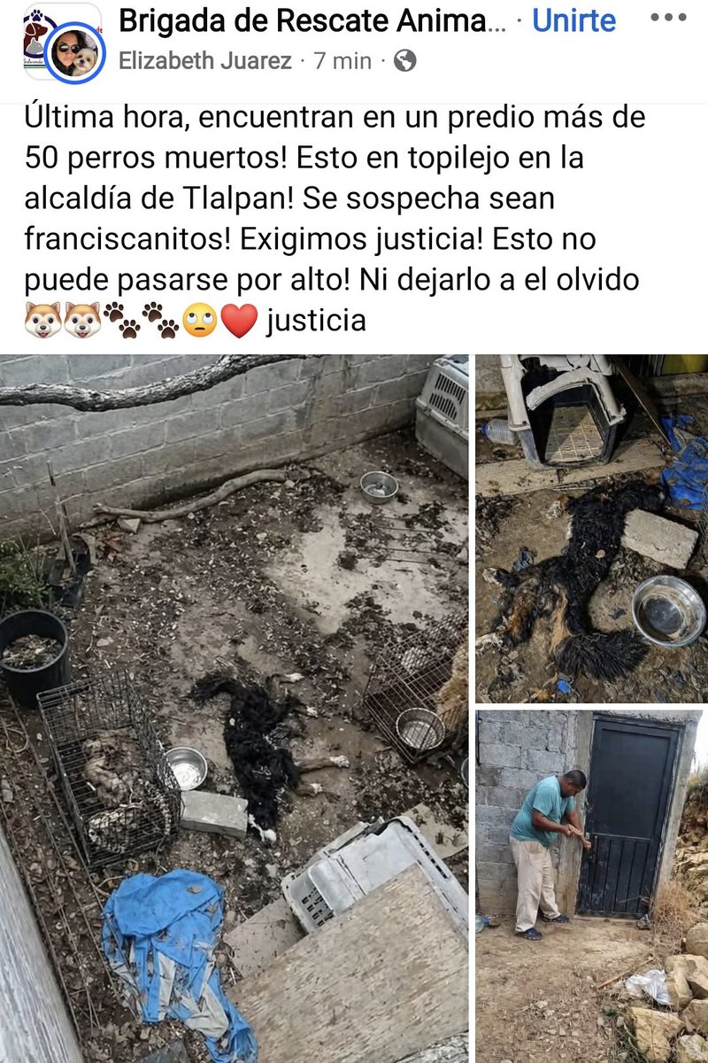 Fundación Toby tweet media