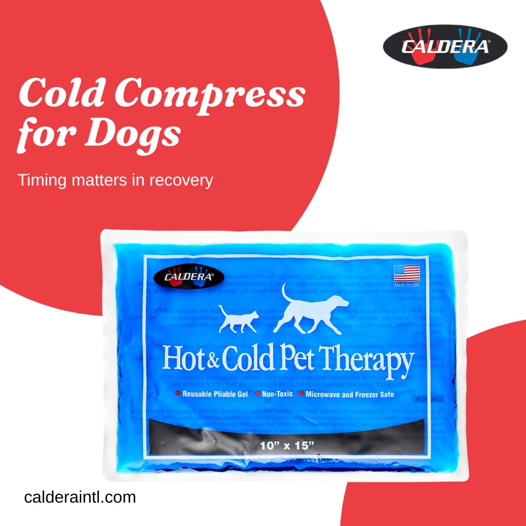 CalderaI48582's tweet image. Cold therapy works best within 48 hours of injury—helping reduce swelling and speed recovery. Act fast for your dog. ❄️🐾
Learn more: calderaintl.com

#DogCare #PetFirstAid #Recovery