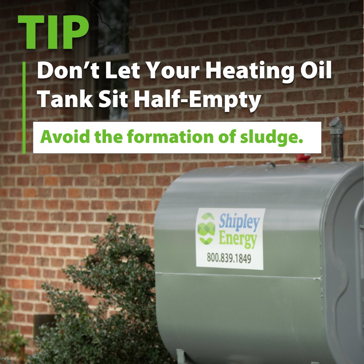 Shipley Energy tweet media