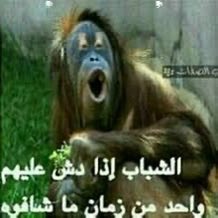 rio de janeiro tweet media