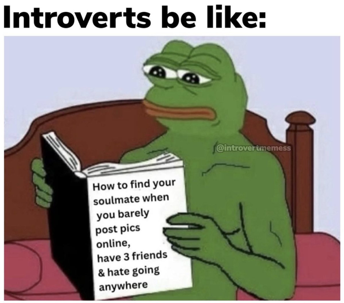 Introvert Problems tweet media