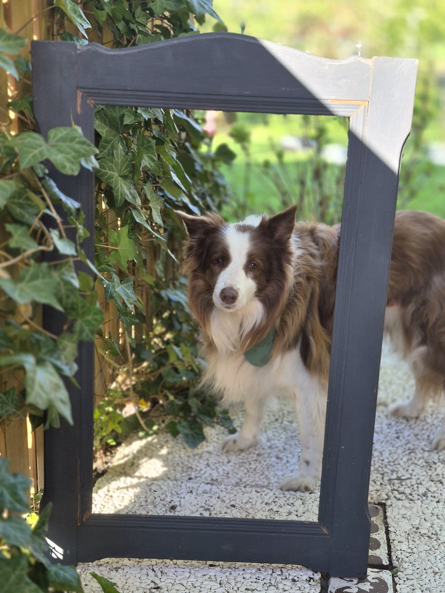 wandklex Ingrid tweet media