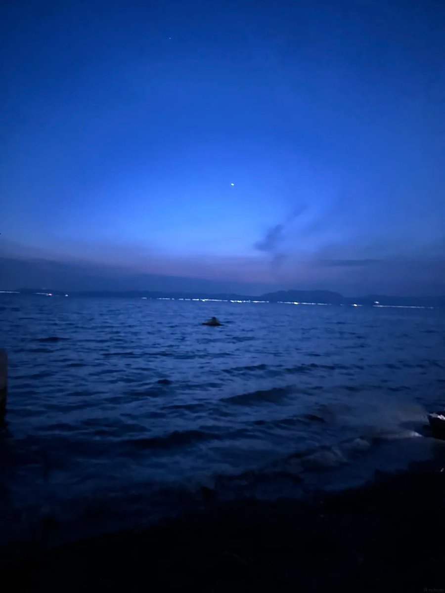 vinteranke's tweet photo. ブルーモーメントの時間、海辺のそよ風を待つ。この瞬間、世界は静まり返り、聞こえるのは波の音だけ🌊 https://t.co/DQRkyjymjo