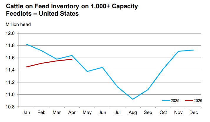 Mārtiņš Krusts 🇱🇻🇺🇦🇮🇱 tweet media