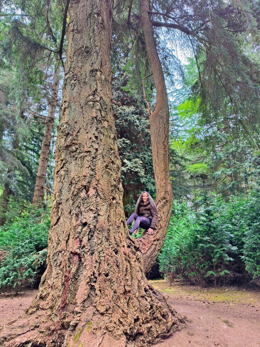 LadyGrace27's tweet image. Somewhere between a woman and a woodland spirit...🍃✨

#thicktrunktuesday #trees #treepeople #treelovers