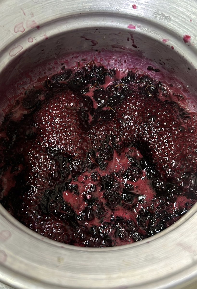 دائمًا سَلْمى tweet media