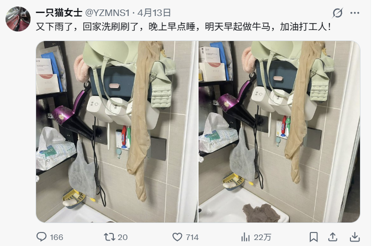 Dreamland tweet media