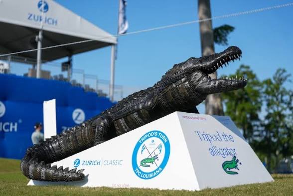 The Scrambler tweet media