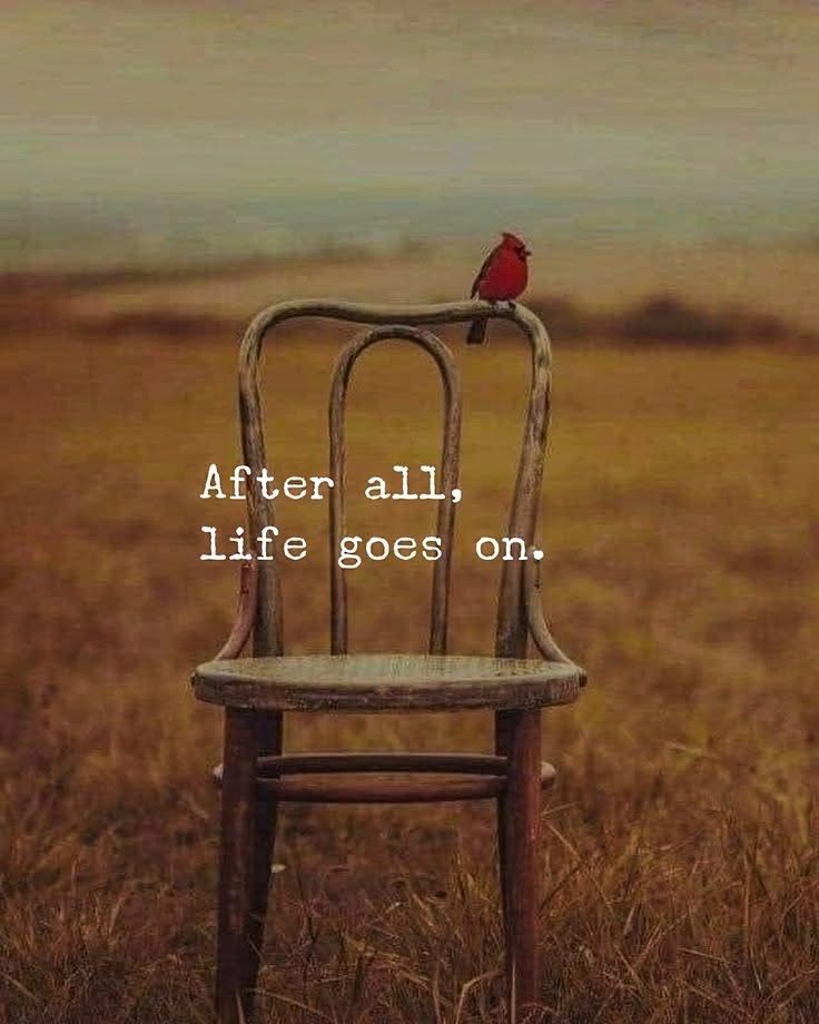 reflectionofeyes tweet media