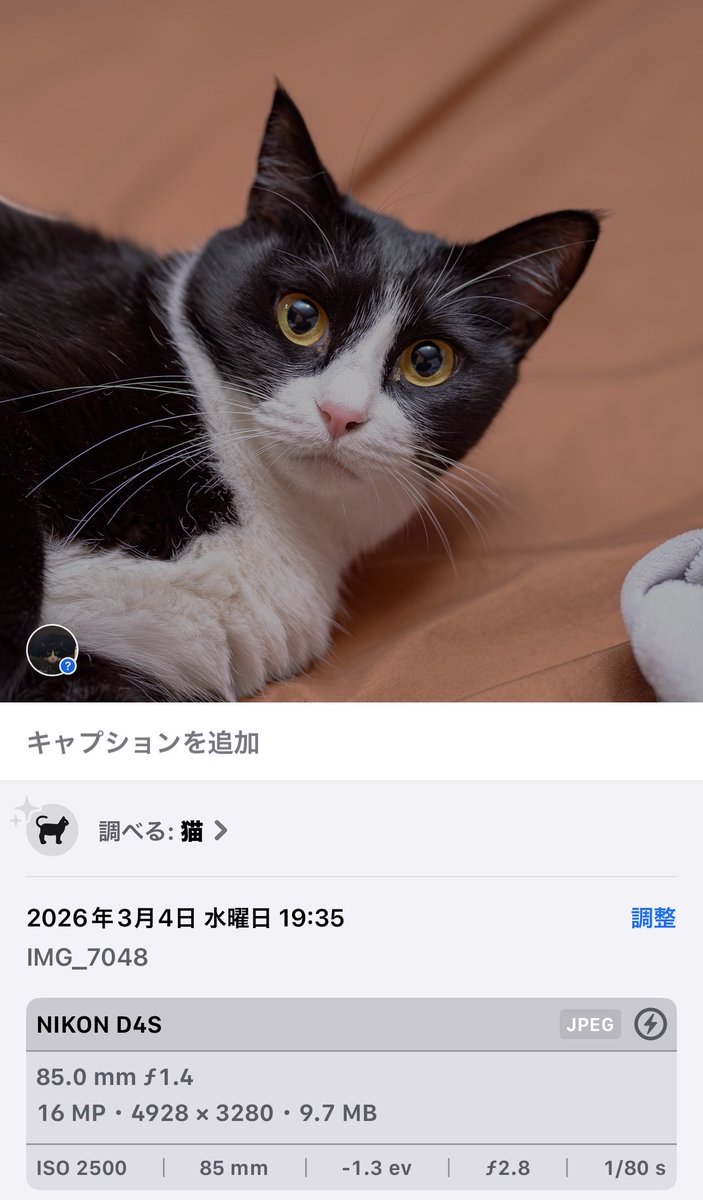 ぎゃらん tweet media