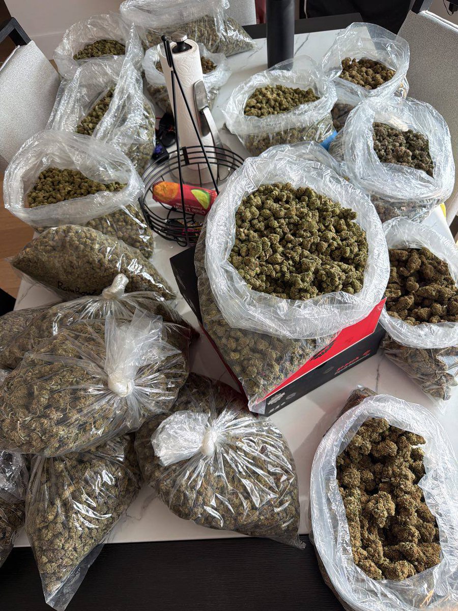 Columbiaweed's tweet image. Duluth &amp;amp; St Cloud 🔥💨🍃 exotics ZAZA heavy MN plug weed bud 218 320 Chronic loud fire bud nugs trees 🚀 DM now 😤 #Weed #Zaza #Duluth #StCloud