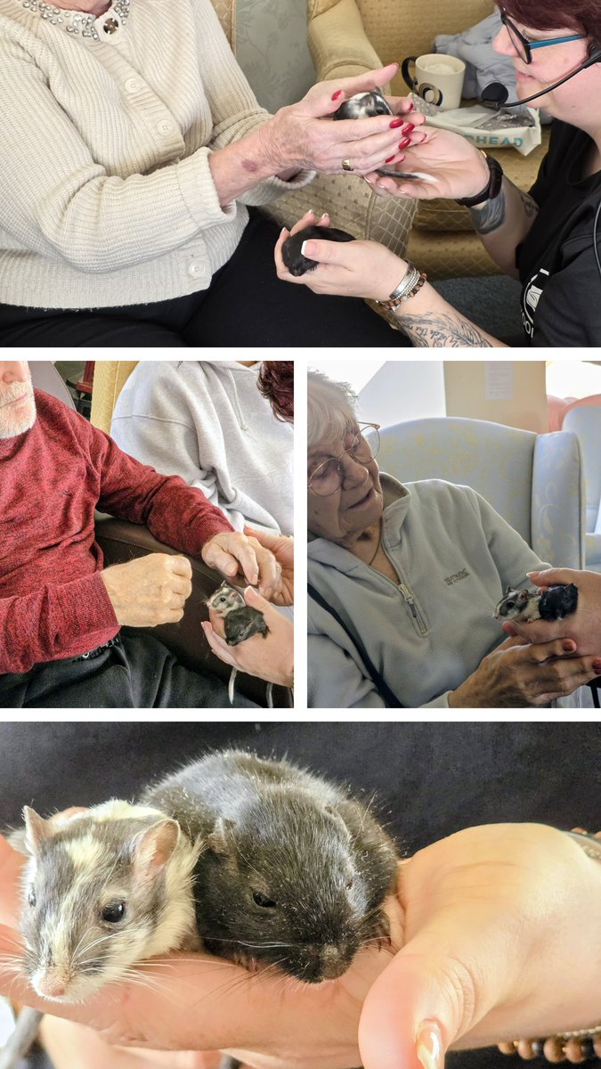 Rashielee Care Home tweet media