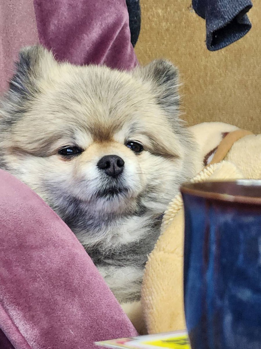 酒カスの𝐇𝐚𝟖𝐭𝐞 tweet media