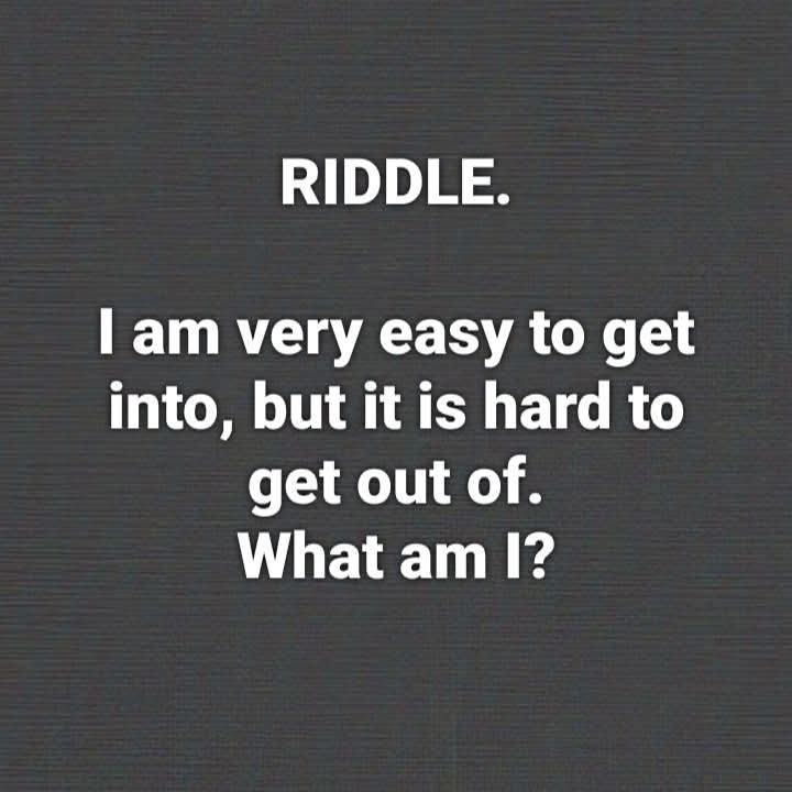 Elizabeth❣️ tweet media