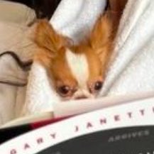 ⁎ 𝑙ily. tweet media