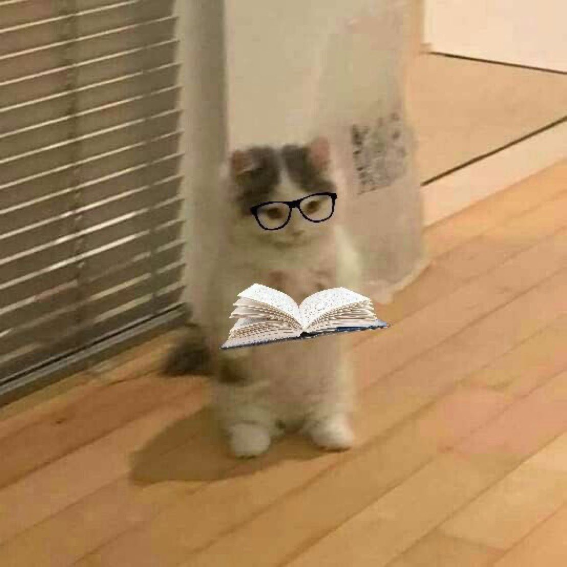 readingorgaming's tweet image. day 1 of looking for #booktwt #bookish moots 🧸
📖 ~ thrillers, wanna get into fantasy &amp;amp; romance
🎮 ~ val, ow, dbd, LoL, story games 
📺 ~ greys, criminal minds, the mentalist, grimm, chicago PD/med/fire, 9-1-1 (all), the rookie, twd
↻ / ♡︎ to be moots, ifb :3