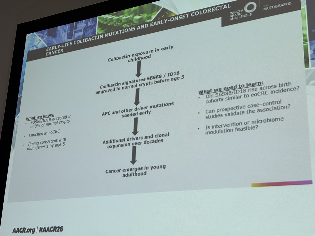 ARosen380's tweet photo. Next up at #AACR26: Ludmil Alexandrov, PhD @UCSDCancer discuss the influence of early life mutagenesis and bacterial genotoxins on early-onset colorectal cancer! I see a theme of the rise of exposures early in life to the development of EO cancer Thoughts?
#AACR26 #AACRSSP https://t.co/emaab3PcN3