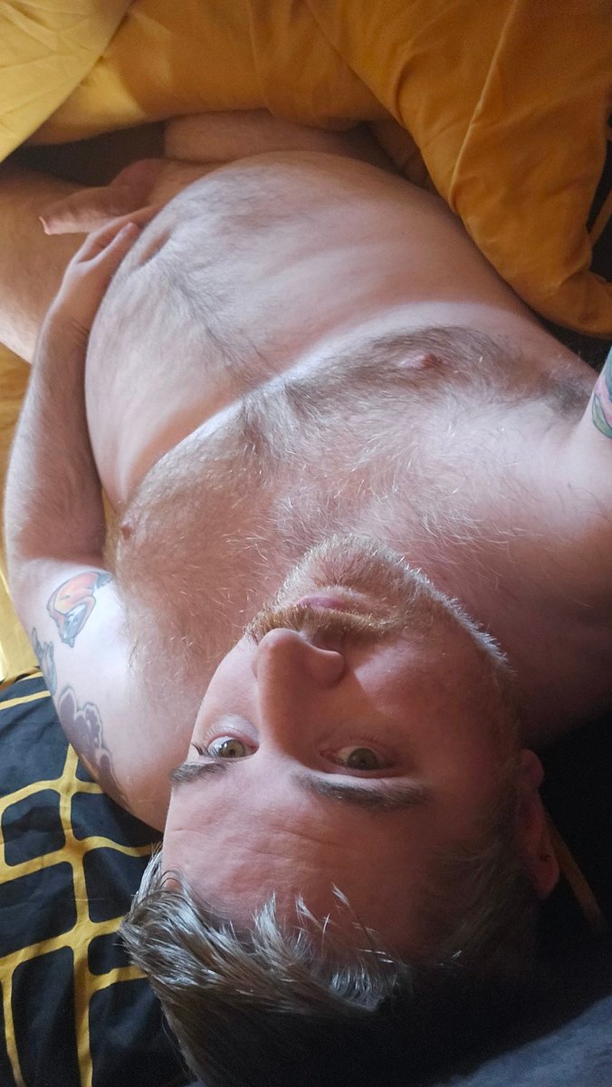 Midnightpup tweet media