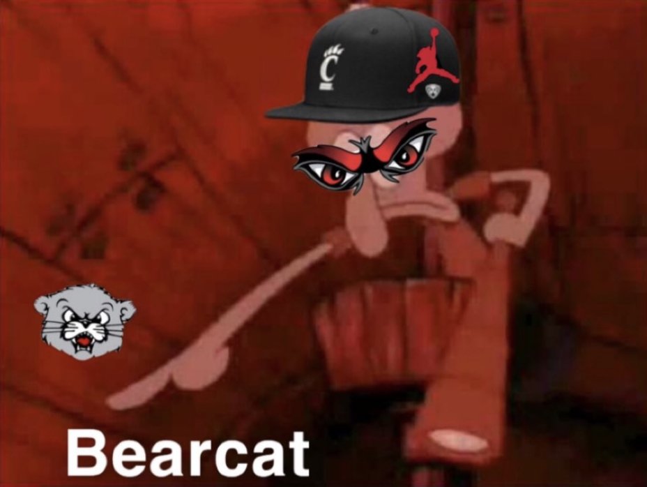 The Bearcat Bunch tweet media