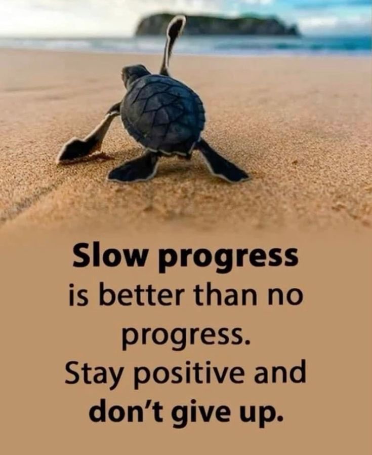 DailyMotivPro's tweet photo. if you’re still trying, you’re already winning.🥇 

drop a 💪 if you’re not giving up! https://t.co/HRJfdFxm8P