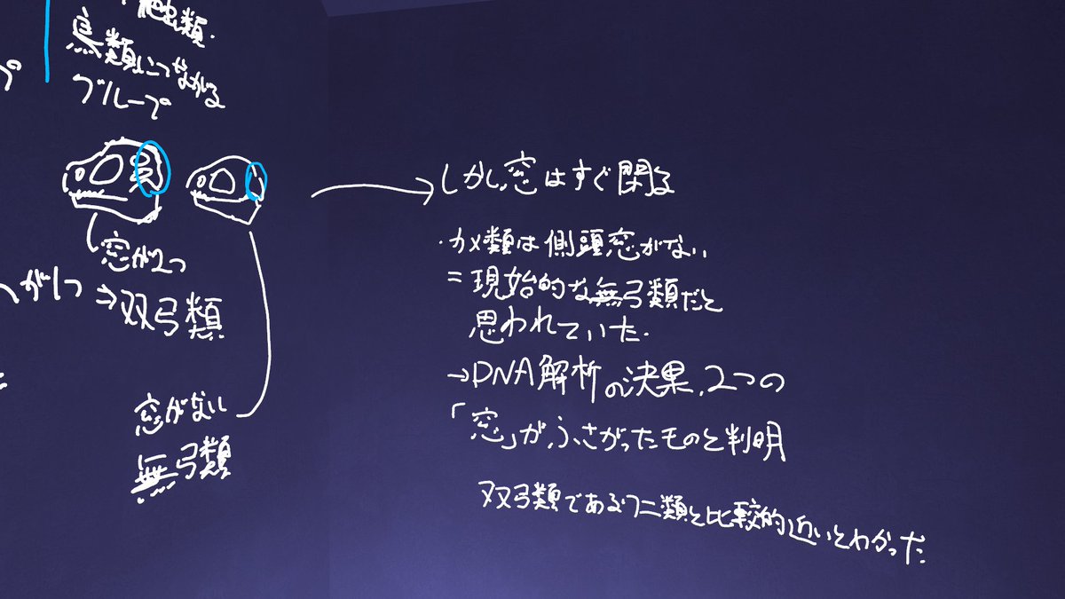 ﾕﾂﾞｷ蜜柑 tweet media