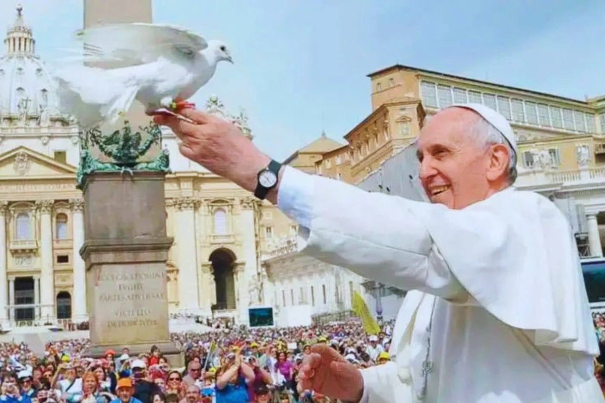 José Ignacio Scotto tweet media