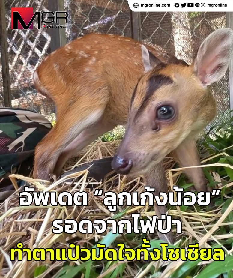 specialscoop_mgr tweet media