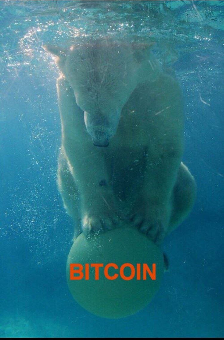 The Bitcoin Way tweet media
