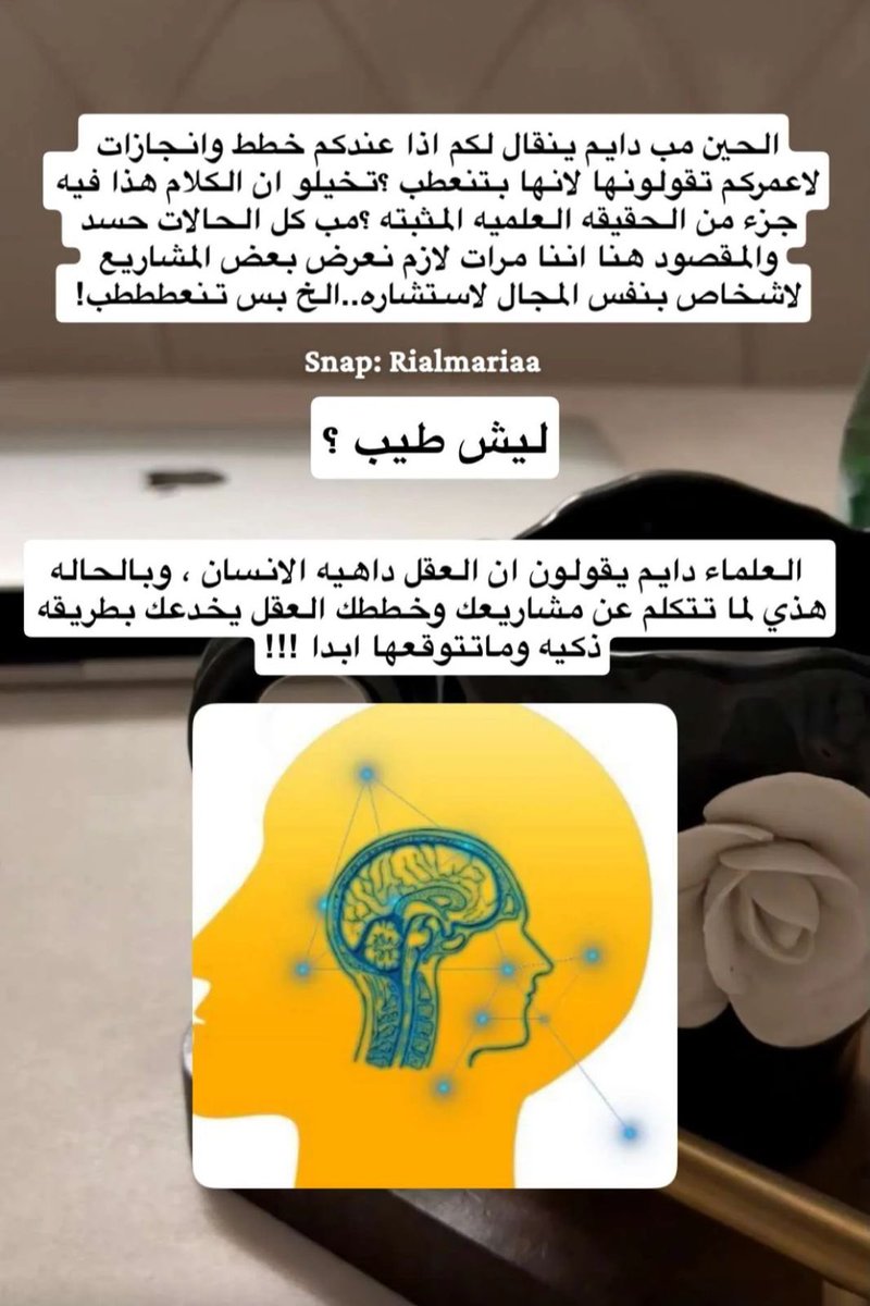 Ayar2030's tweet photo. أكثر سناب أتابعه واكثر سناب أحسه مظلوم هو سناب رياله فعليا هالبنت موسوعة في كل شي ماشاءالله مواضعيها وطبخها 

أحببببها https://t.co/J4mmu1MXxP