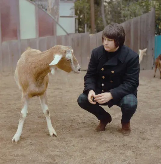 Hallingkast515's tweet photo. Pictured here: A goat and the GOAT.
#Music #IYKYK #PopMusic #Oldies https://t.co/DYxbdjF37x