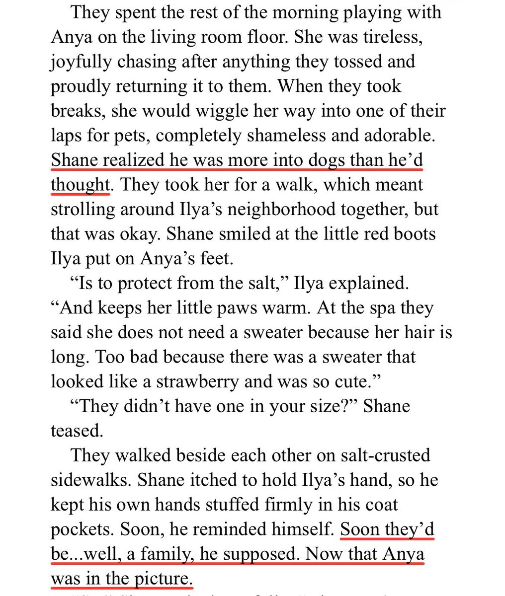 ilya bizanov tweet media