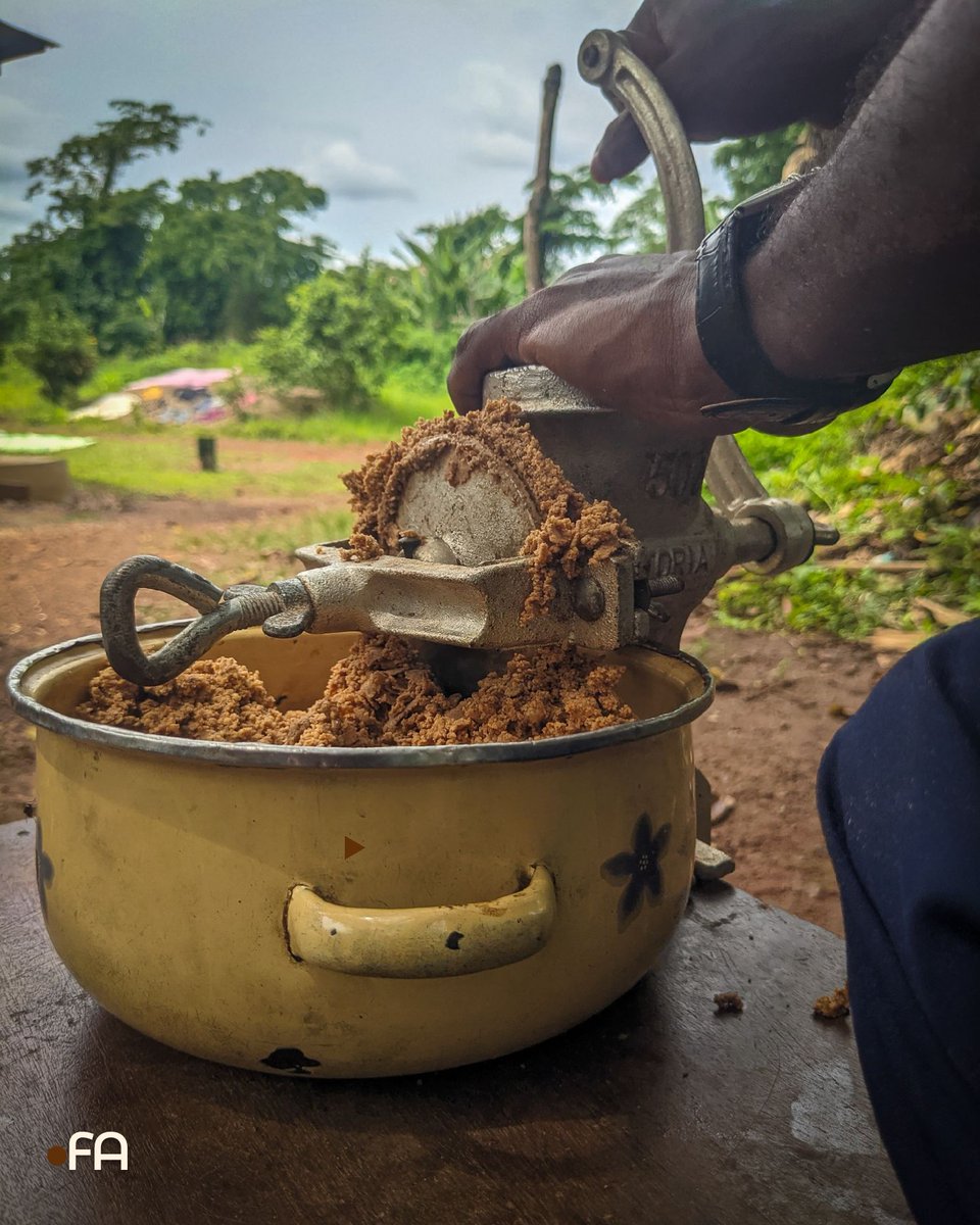 Franck AMANA 🇨🇲 tweet media
